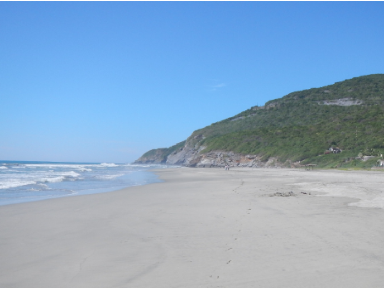 Limpieza Playas Michoacán